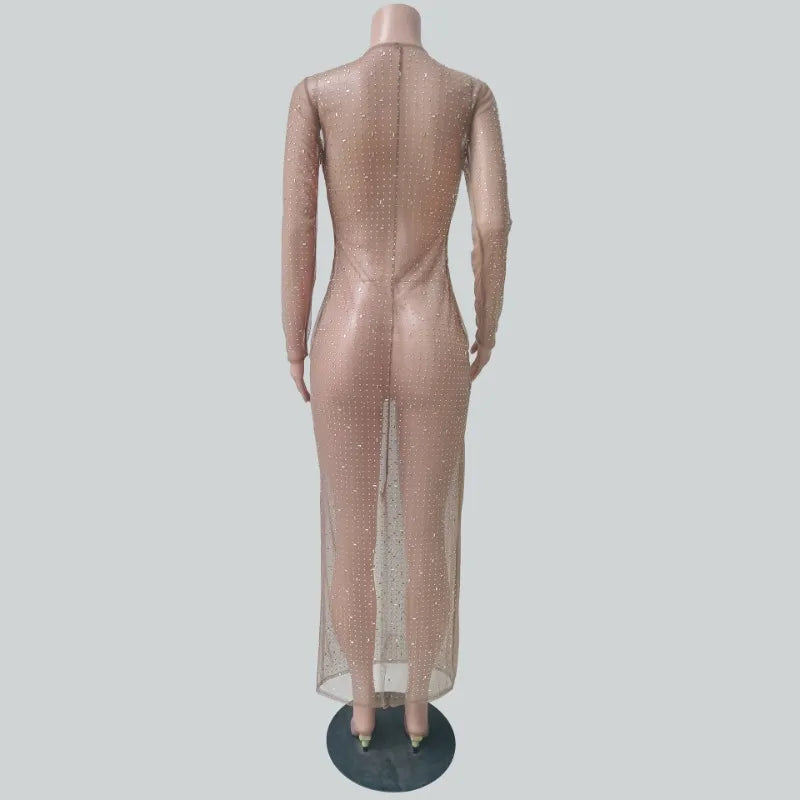 Glitter Maxi Mesh Dress in coffee