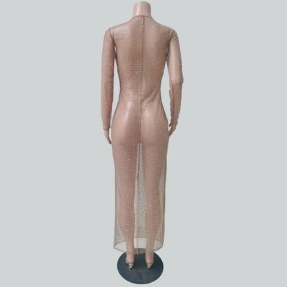 Glitter Maxi Mesh Dress in coffee