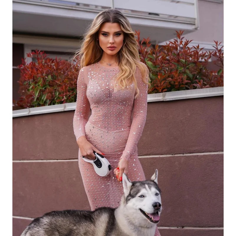 coffee glitter mesh maxi dress